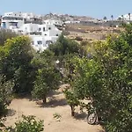 بيت للعطل Demis Mykonos 2 *
